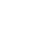 expert consulting icon